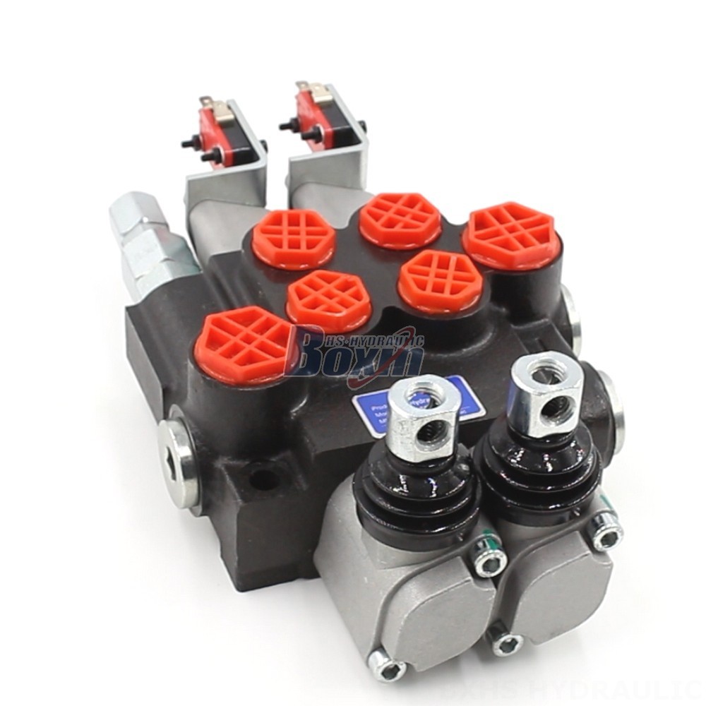 Tailor Your Hydraulics: OEM & ODM Services for P40 Micro Switch Valve main image